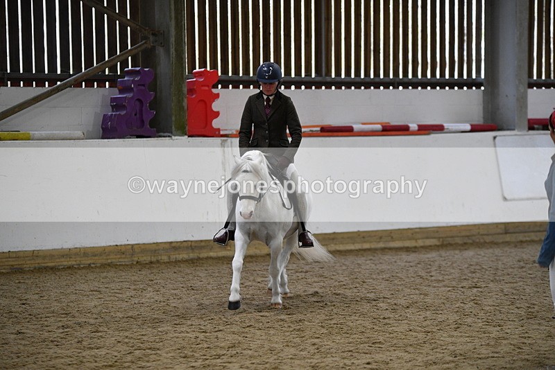 WJ5_6274 - Class 9 Ridden Veteran