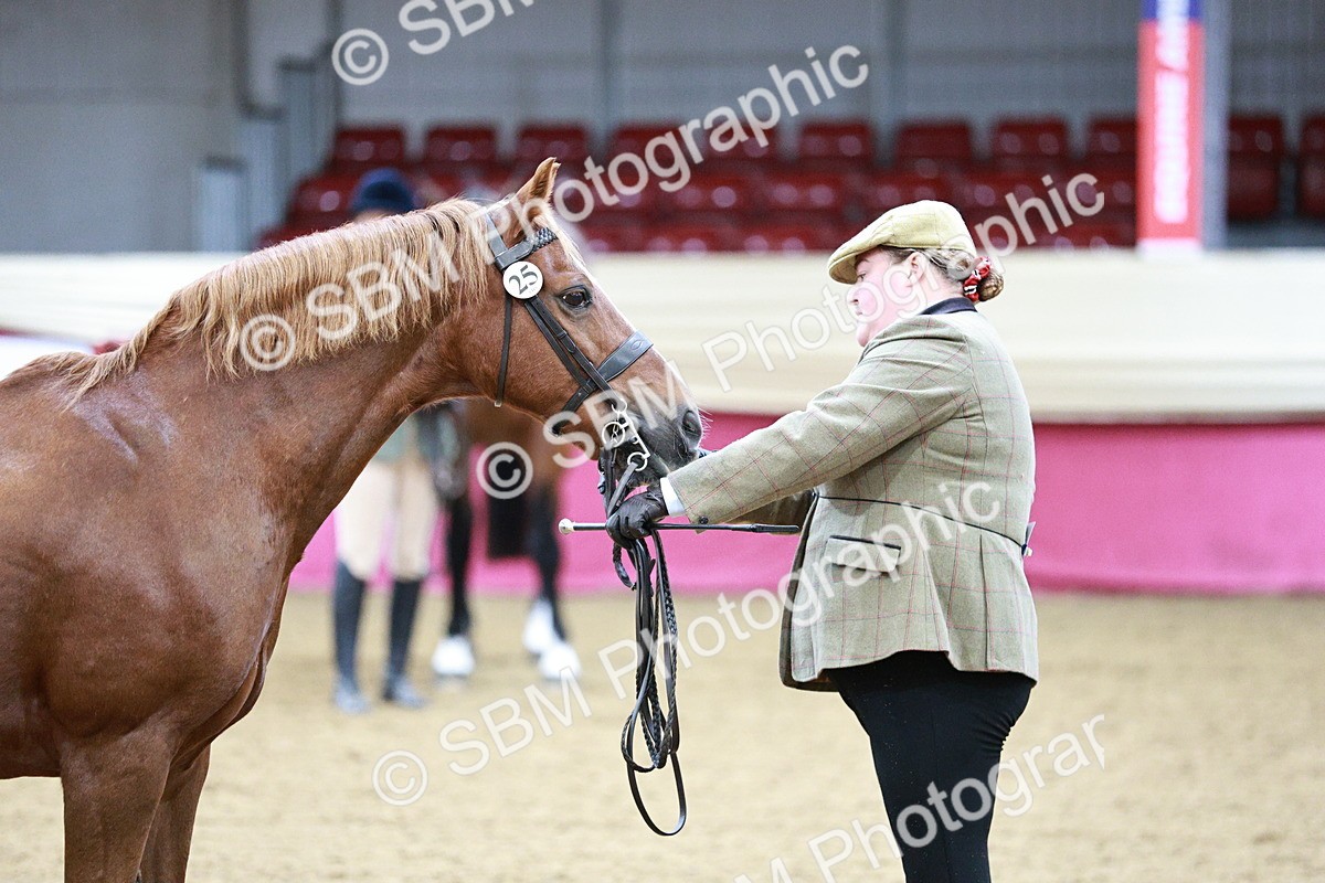 SBM_00301 - Class 1A - Area IH Diamond