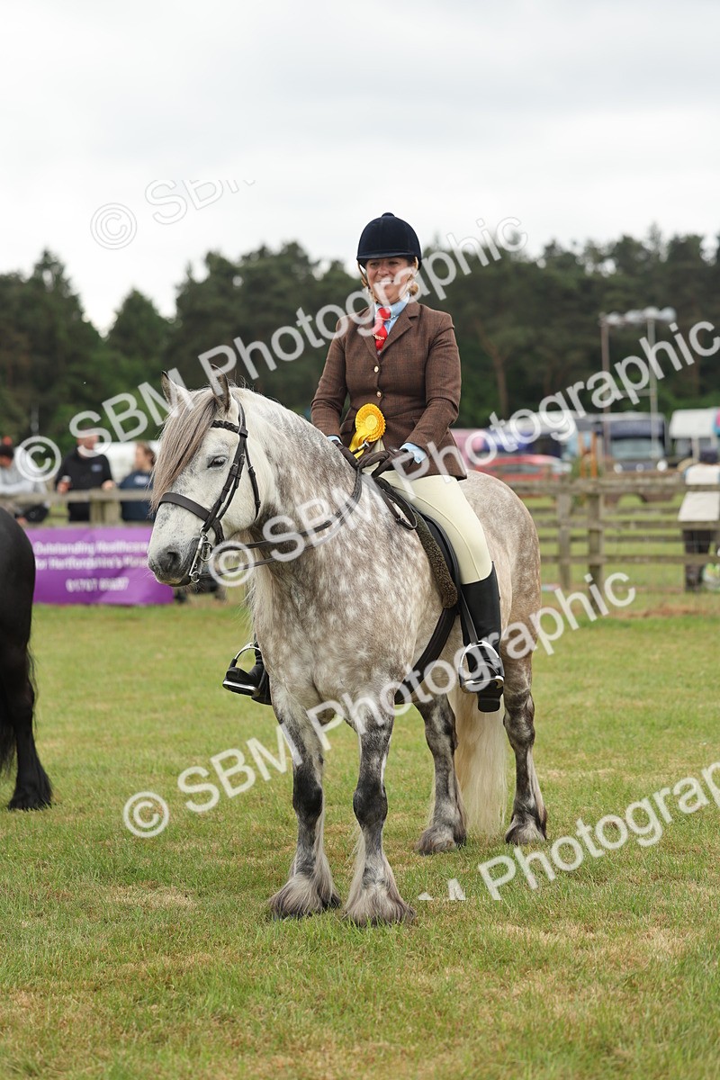 SBM_09051 - Class 78-80 - Ridden M&M Non Welsh Ponies
