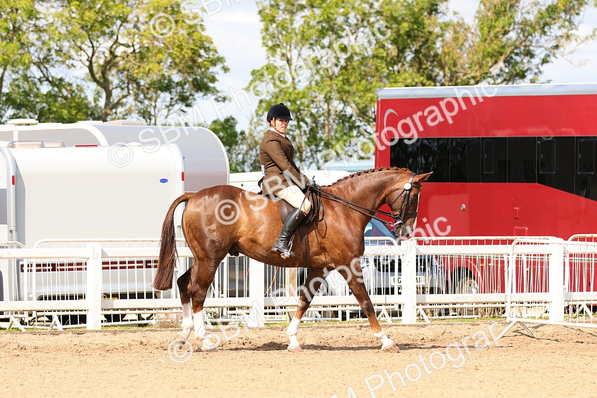 SBM_13442 - Class 212 - Ridden Hunter  - Large
