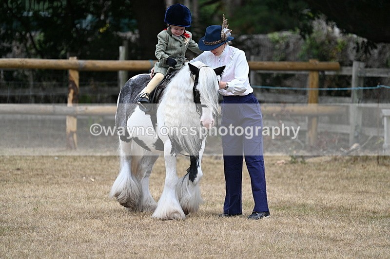 WJ7_6610 - Class 1 Lead Rein Pony