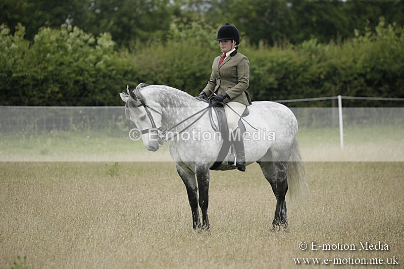 B230619-0519 - Bourne Valley Riding Club Summer Show 23/06/19