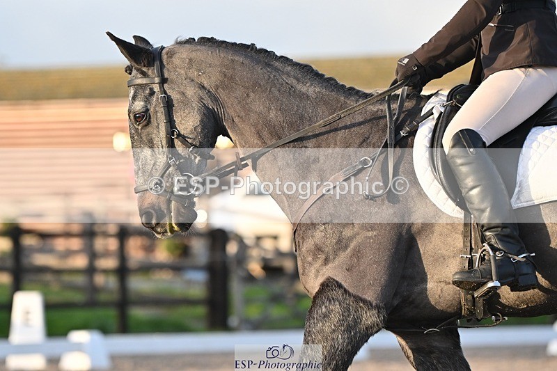 231105-155338-03963 - Cls 4 Novice 24 15.24 to 16.35 break