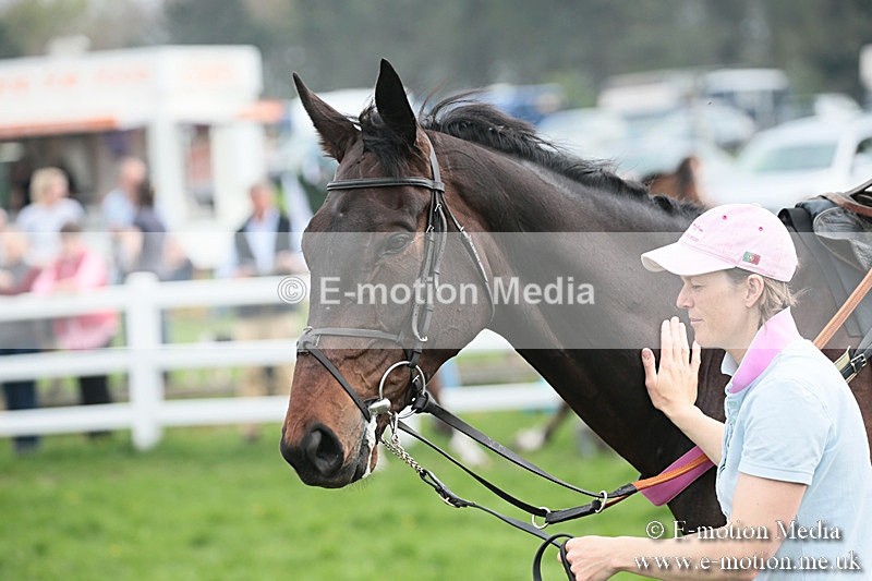 PtP 210418 161 - South & West Wilts Point-to-Point Larkhill 21/04/18