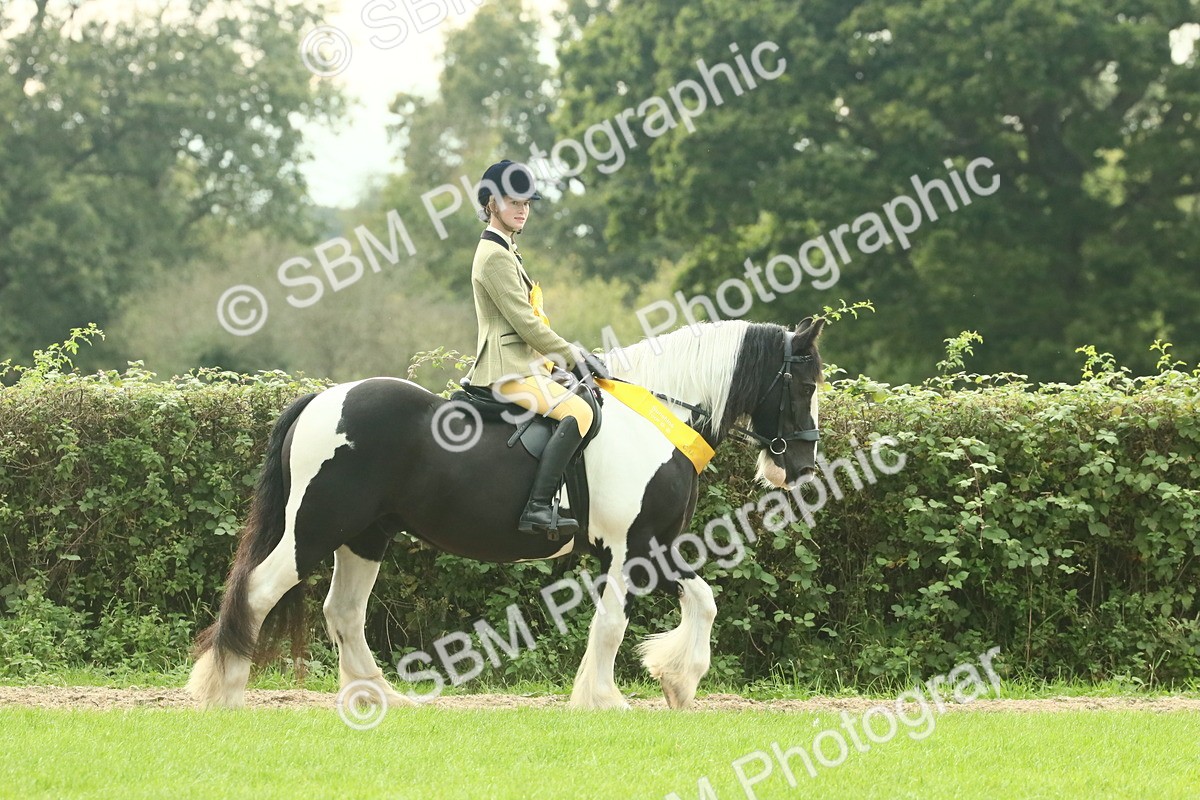 SBM_74161 - Ridden Pony Supreme Championship