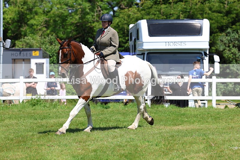 3E7A7228 - Class 30: Novice Working Hunter