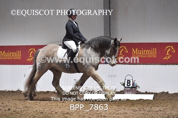 BPP_7863 - INTRO TEST 3