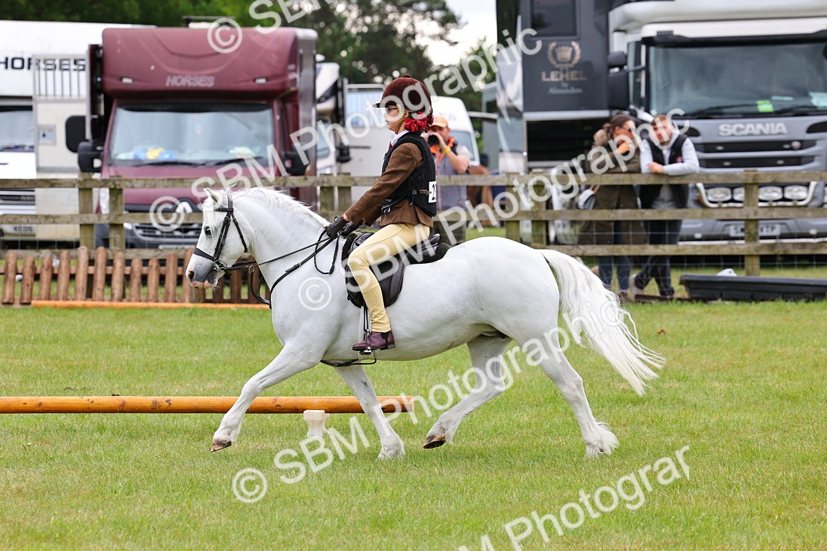 SBM_08720 - Class 42-43 - LIHS BSPS Heritage Working Sports Pony