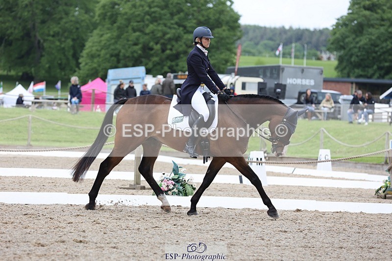 240523-104456-03395 - 214-DSH_GOLDEN_EYE-Lucinda_Mesquita