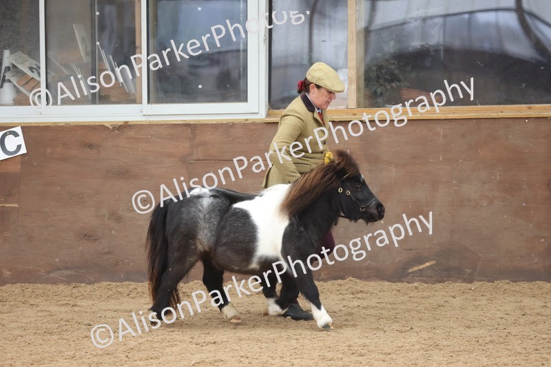 20251109-0269 - Class 11 - 2 and 3 Year Old