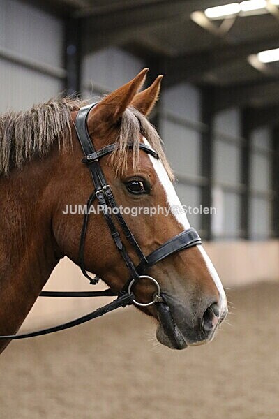 SIAL2933 - Sunday 14th Ridden