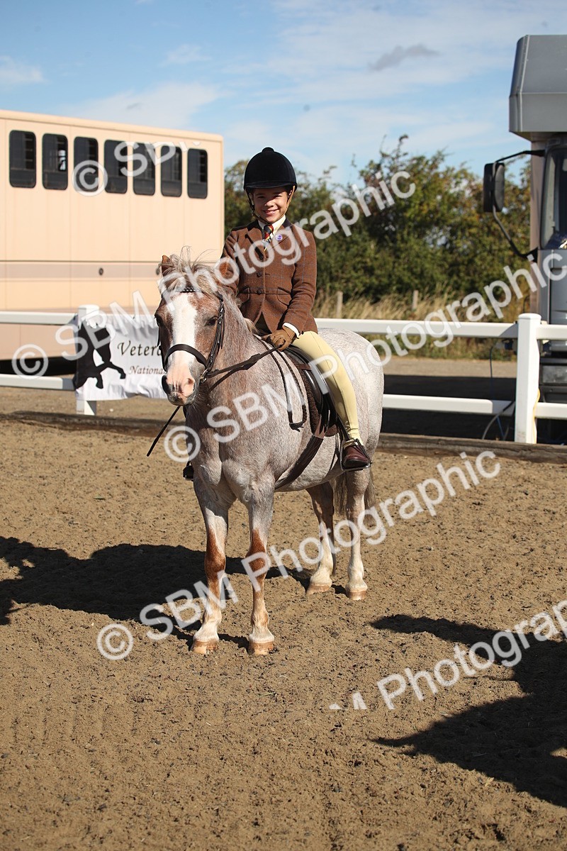 SBM_12774 - Class 504b - Junior Working Veteran - 40cm (20+)