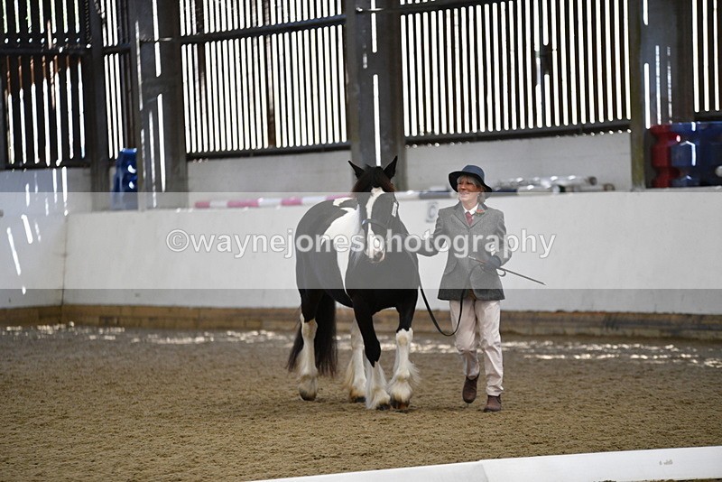 WJ5_5499 - Class 8 In hand cob