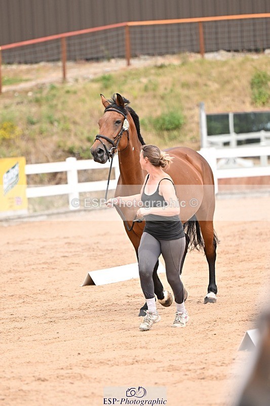 250716-150843-01688 - Trot Up 2.30 to 3.30