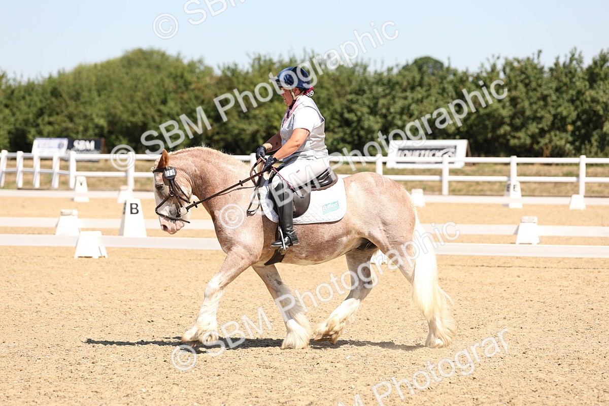 SBM_001281 - Intro 2