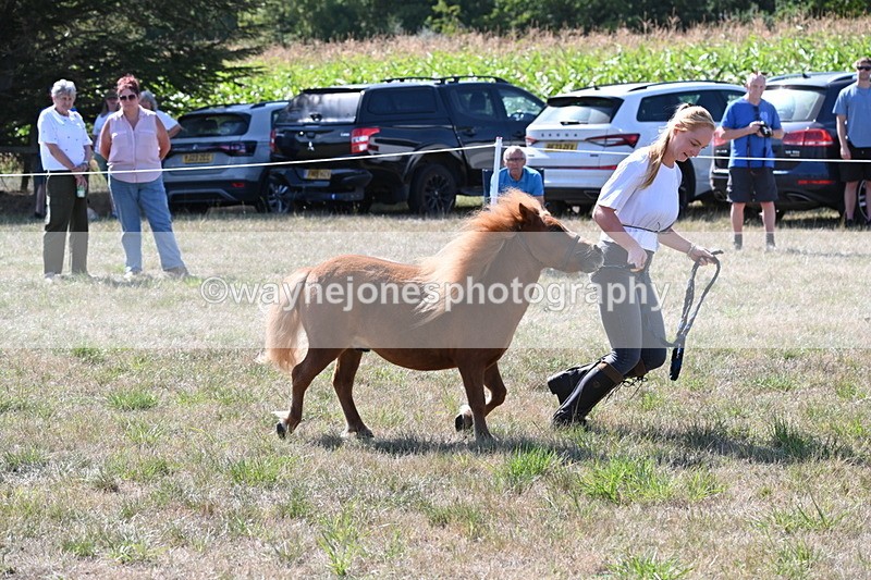 WJ6_4810 - Class 17 Mountain & Moorland
