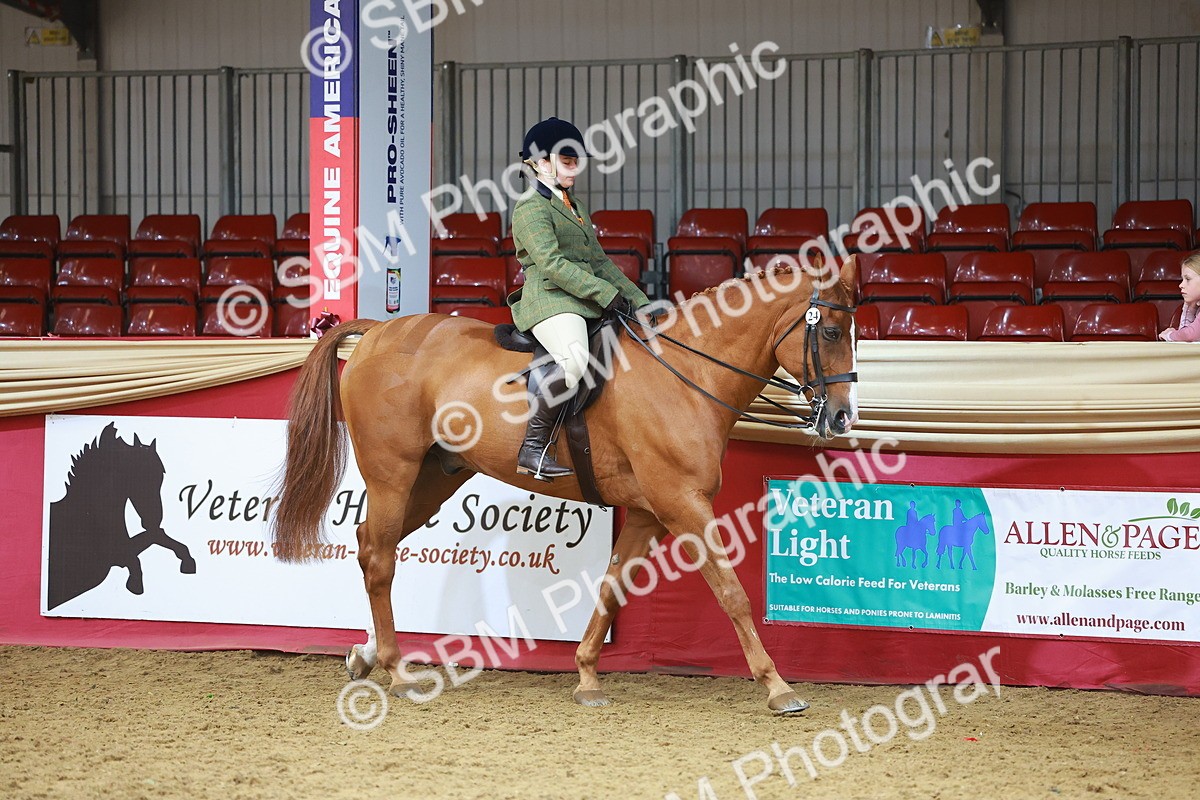 SBM_09570 - Class 102 - HOYS Veteran Qualifier - Ridden Veteran