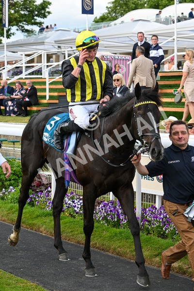 310525-Race 6-Dantes Lad-0195 - Race 6 4.25pm Royal Yorkshire Regiment Handicap