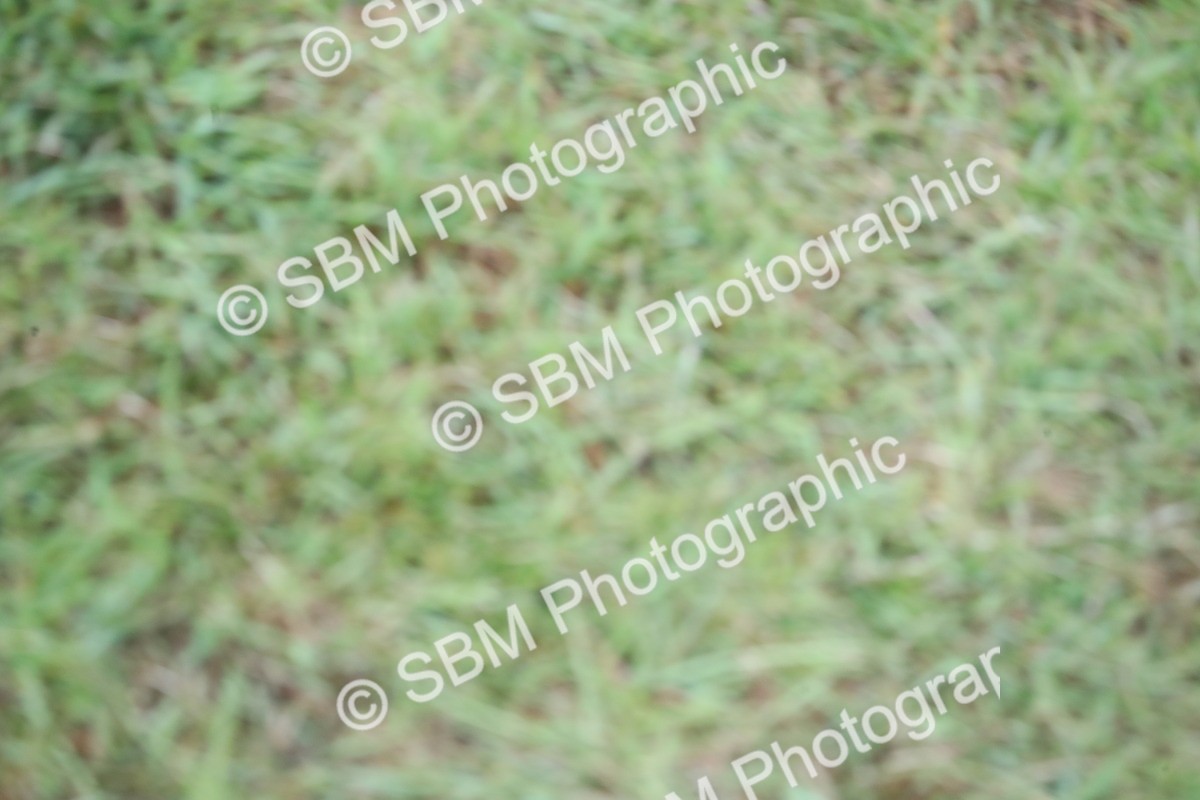 SBM_11318 - Class 92-93 - LIHS BSHA Rising Star Cobs