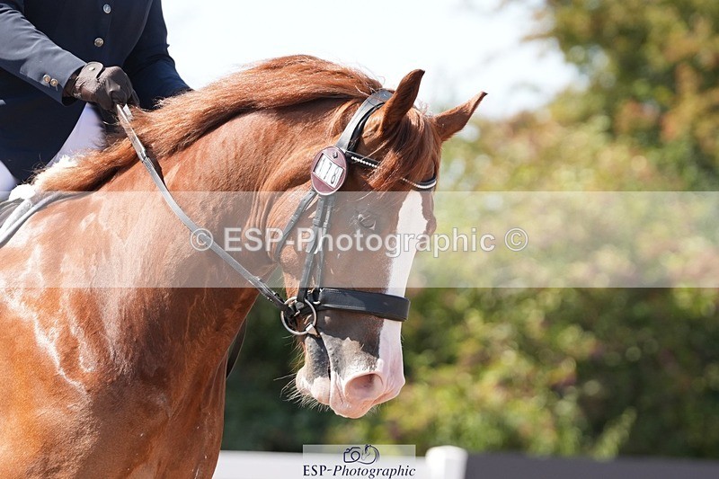 250817-145329-11090 - 178-Ella.MatraversMenai.Cosmic.Inferno