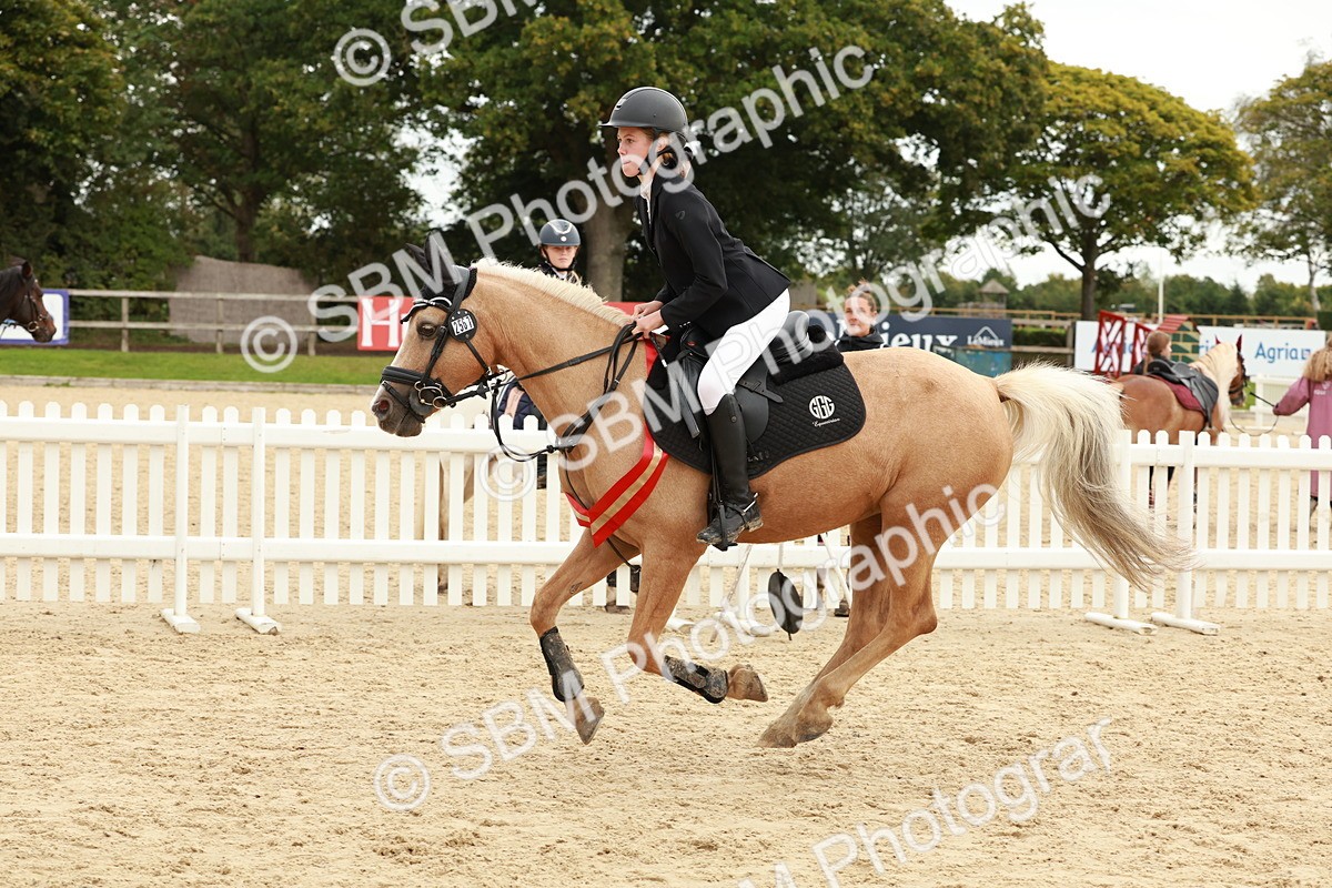 SBM_65357 - Supreme Championship 50cm & 55cm