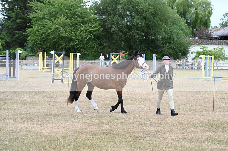 WJ7_8451 - Class 4 Prettiest Mare up to 14.2hh