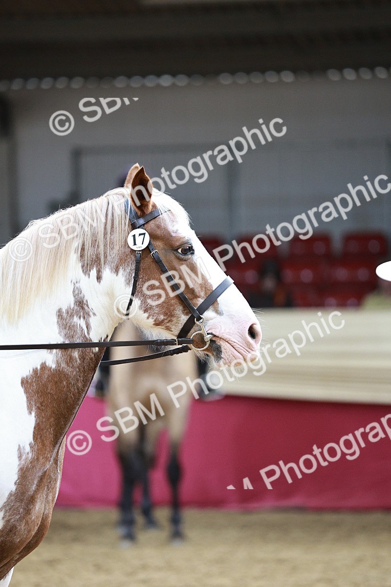 SBM_03669 - Class 6A Area Ridden Pre-Vet
