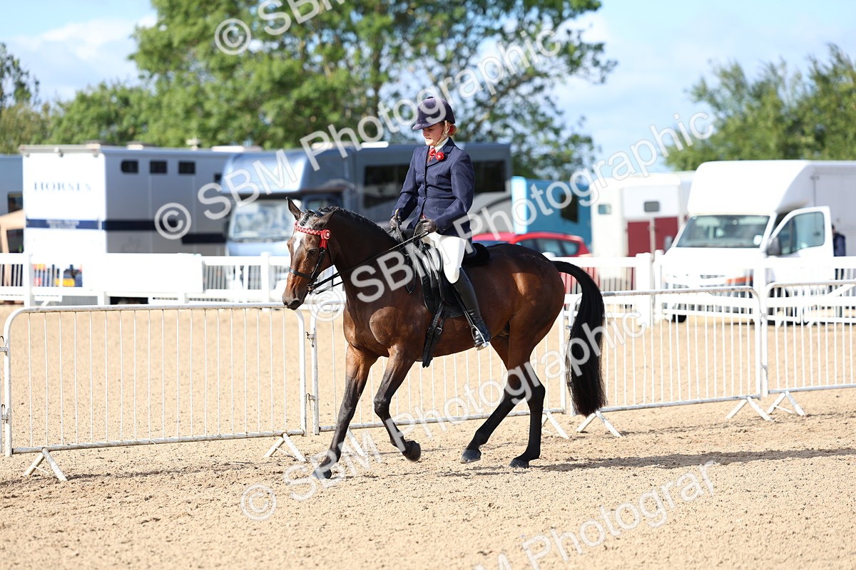 SBM_09126 - Class 303 - Ridden Pure Bred Horse Pony