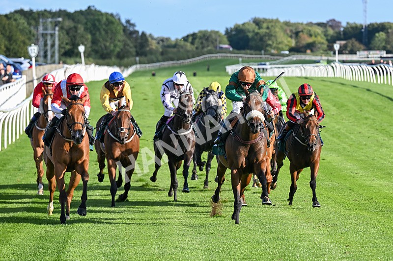 080926-Race 7-Military Girl-3317 - Race 7 5.21pm RMG Proudly Supports Teenage Cancer Trust Handicap
