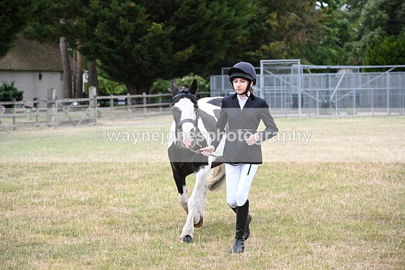 WJ6_4225 - Class 10 Coloured In-hand
