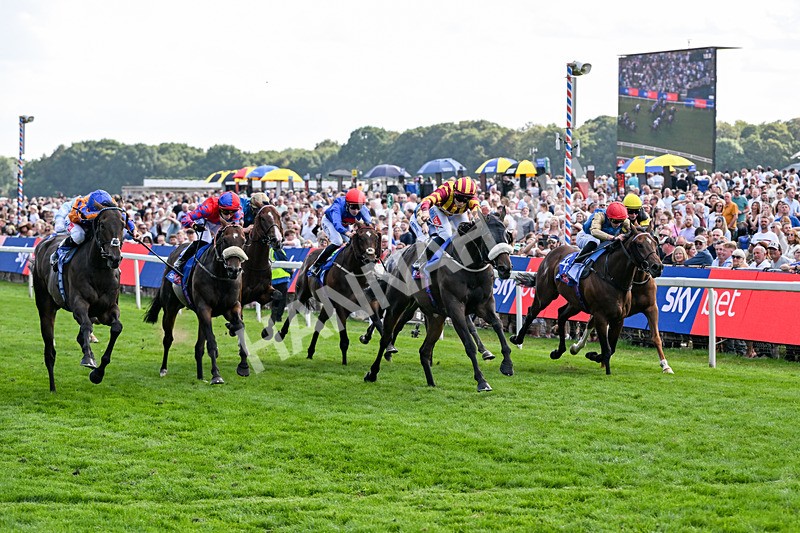 220826-Race 5-Sondad-1089 - Race 5 16.10pm Sky Bet Constantine Handicap