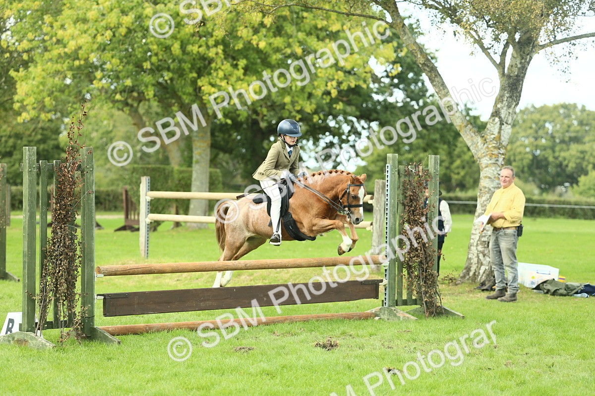SBM_44686 - S31 - Working Hunter Pony