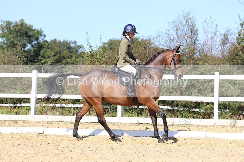 3E7A5700 - Class 10: Riding Horse