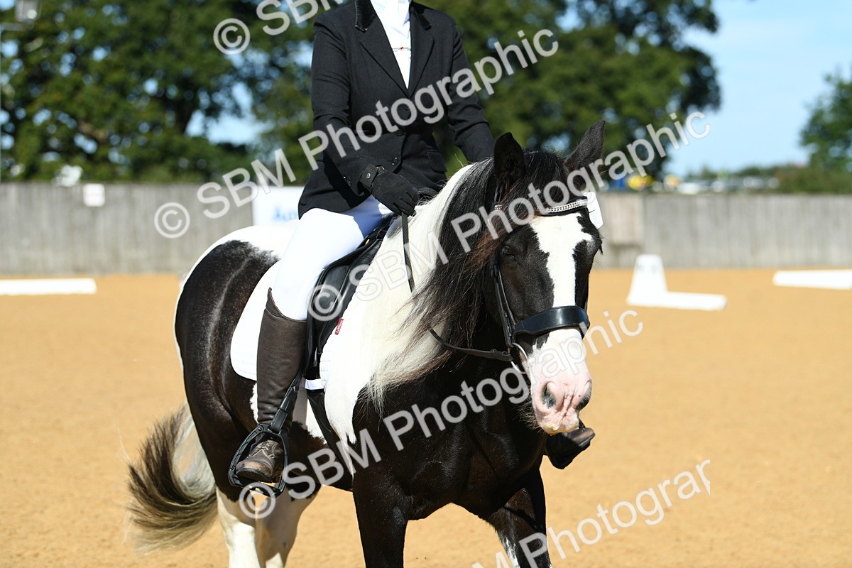 SBM_18219 - D4 - Small Tour Championship - Intro B