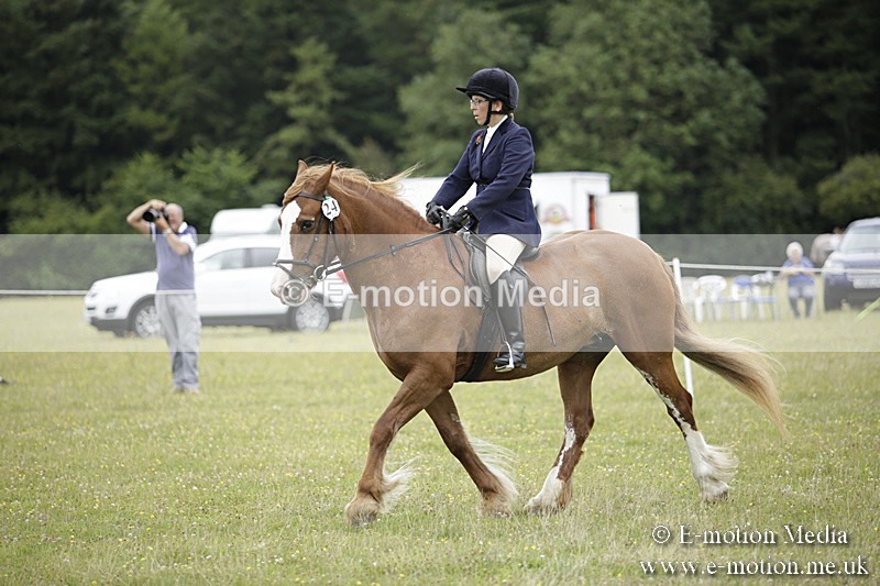 BVR160717-1542 - Ring 1 BVRC Show 16/07/17