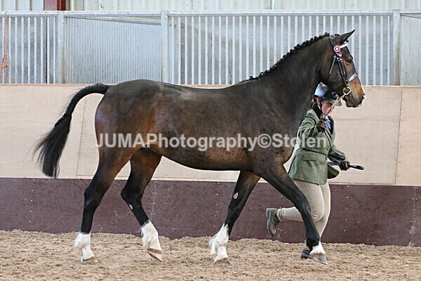 SIAL9679 - Indoor Classes