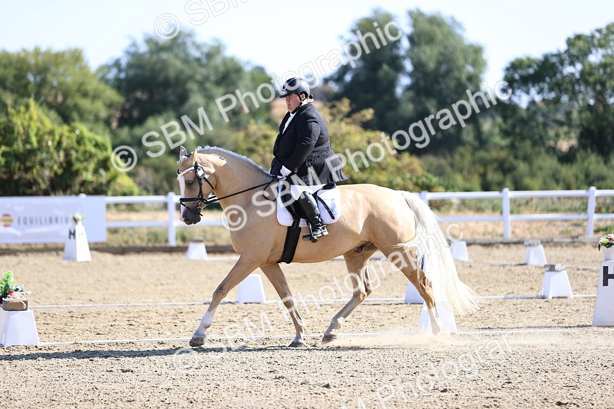 SBM_012534 - Class 2 - P5 Silver 9.00.9.49