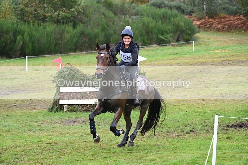 WJ6_2703 - 80cm Cam 1 Time 11:23 to 12:04