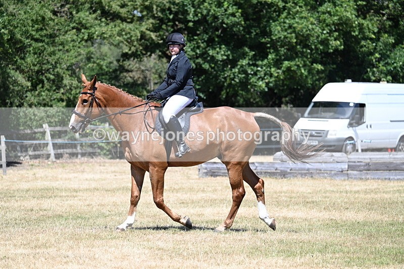WJ7_2915 - Class 7 Riding Club Show Horse