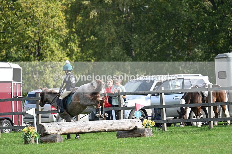 WJ7_5007 - 60cm Time 11:11 to 11:19