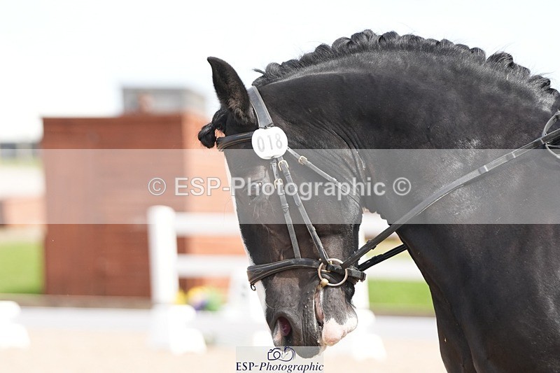 250906-132733-03621 - 018-Kathy.WhiteMilly.111