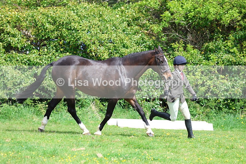 3E7A0478 - Class 20: Sports Horse