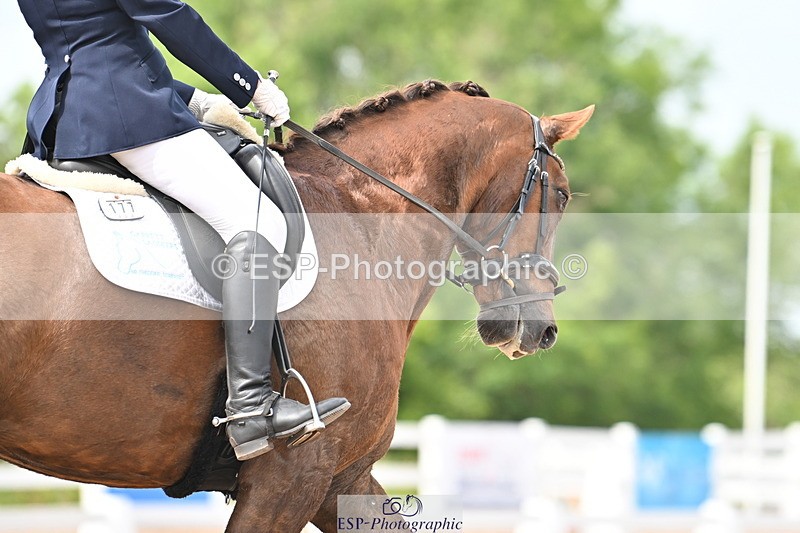 240621A-151512-04671 - Cls 13 BD Adv Medium 91