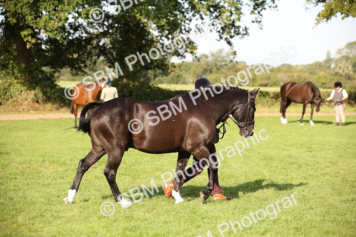 SBM_60108 - S53 - Hunter In Hand