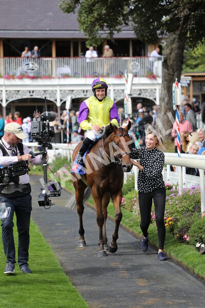 yr17082022r1-057 - Race 1 1.50pm Sky Bet & Symphony Group Stakes