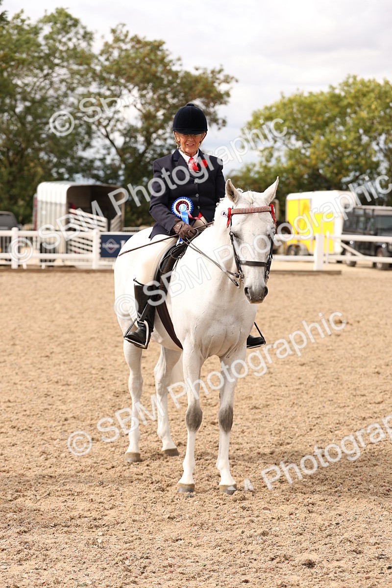 SBM_17379 - Class 214 - Ridden Hack Riding Horse