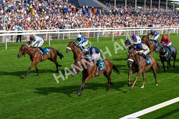 280625-Race 6-Dream Out Loud-0562 - Race 6 4.50pm Al Basti Equiworld Dubai Sprint Handicap