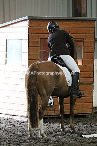 SIAL4308 - CAbin Dressage 5th july 2025