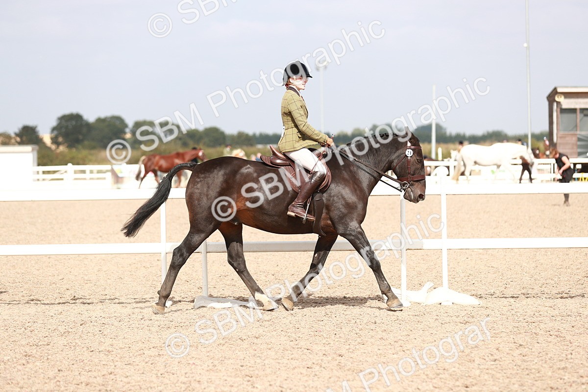SBM_14817 - Class 212 Ridden Hunter - Small