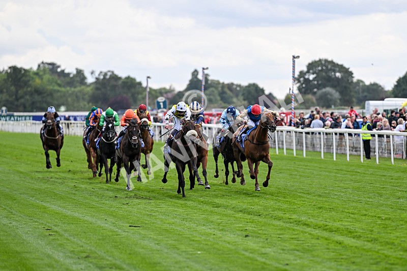 210826-Race 3-Arapaho Gold-5729 - Race 3 15.00pm Al Basti Equiworld Dubai Gimcrack Stakes